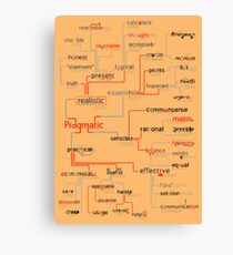 Pragmatic Canvas Print
