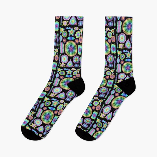 Item preview, Ernst Haeckel Rainbow Diatoms on Black designed and sold by aimeewilson.