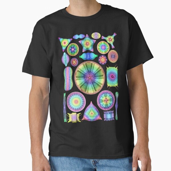 Item preview, Ernst Haeckel Rainbow Diatoms on Black designed and sold by aimeewilson.