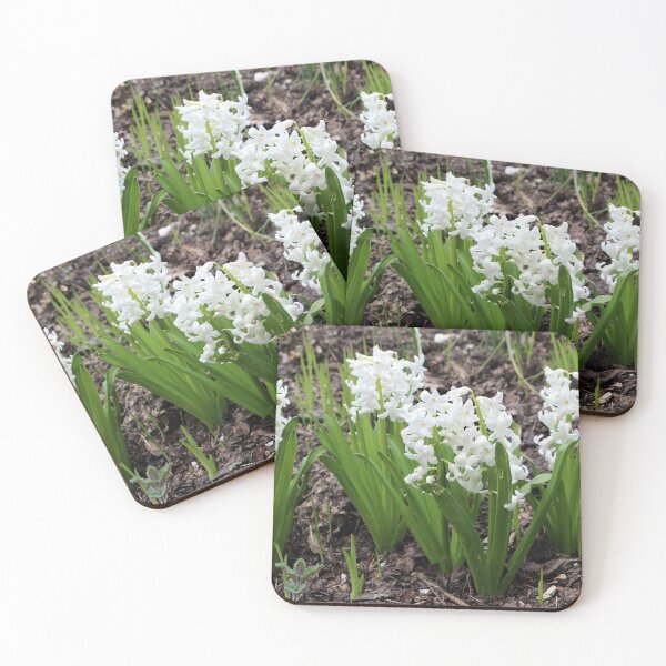 Item preview, White Hyacinths designed and sold by pinkal.