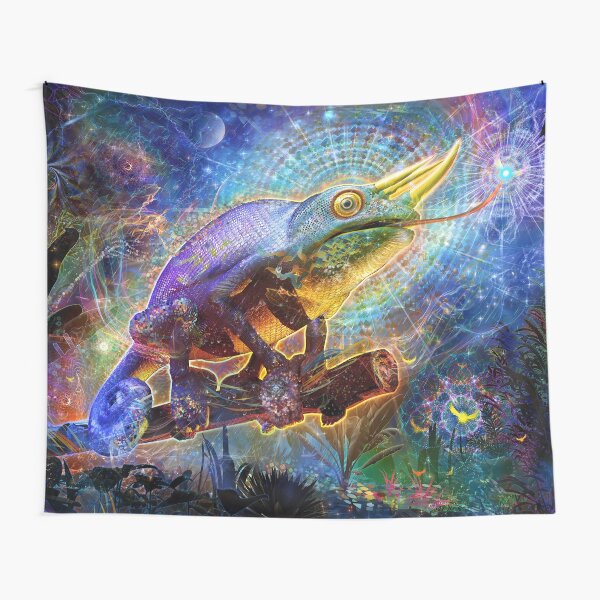 Hypnotized Tapestry