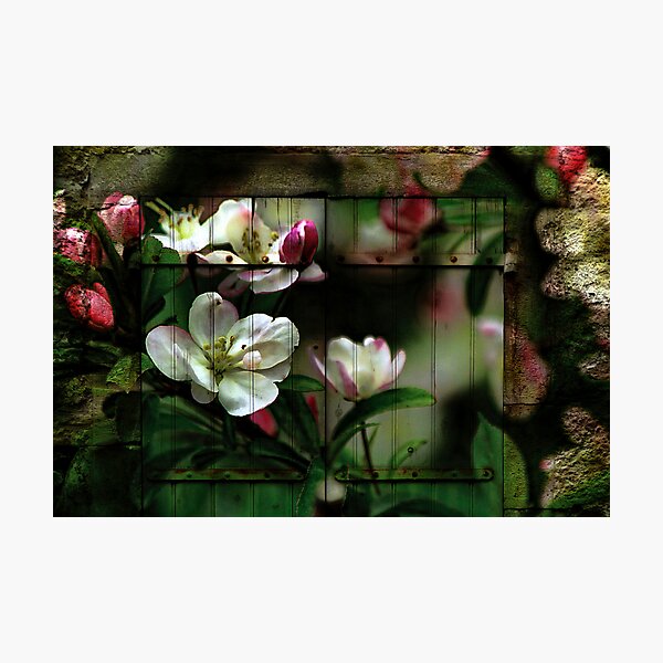 Item preview, Another Time, Another Place designed and sold by Brenda Burnett.