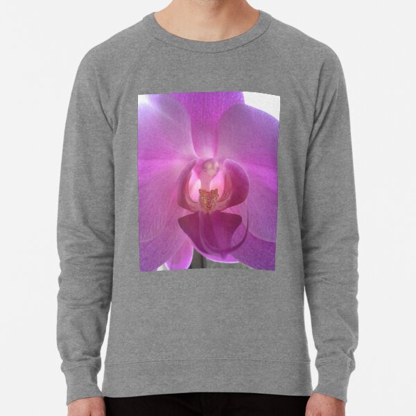 pearly purple sweatshirt