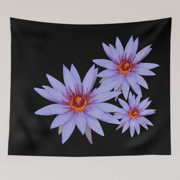 Item preview, Lily Dance designed and sold by umeimages.