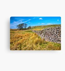 Grassington moorland Canvas Print