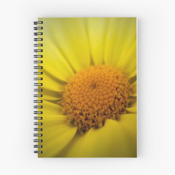 Item preview, Macro Sunflower designed and sold by umeimages.