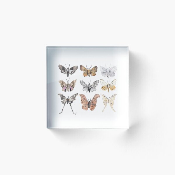 Item preview, Moth collection designed and sold by Kaliduke.