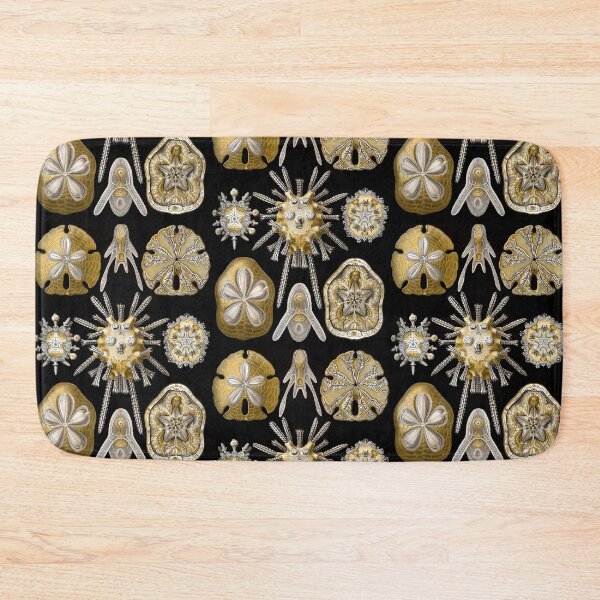 Item preview, Ernst Haeckel Echinidea Sea Urchin designed and sold by aimeewilson.