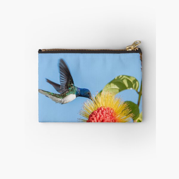 Item preview, White necked jacobin designed and sold by Rachel Lee Young - Land of the Hummingbird.
