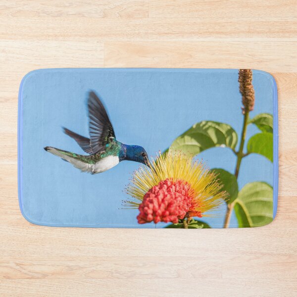 Item preview, White necked jacobin designed and sold by Rachel Lee Young - Land of the Hummingbird.