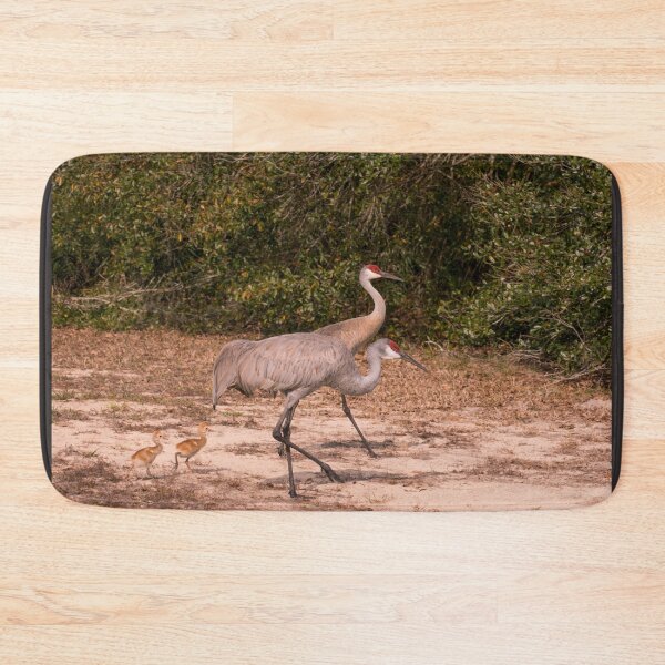 Item preview, Sandhill cranes with chicks designed and sold by Zina Stromberg.
