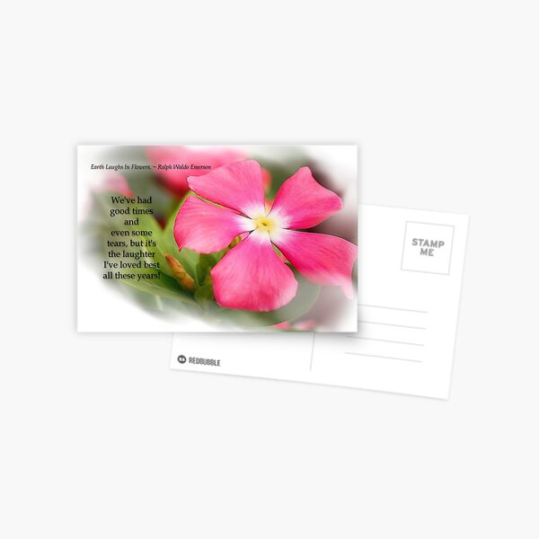 Earth Laughs in Flowers Postcard