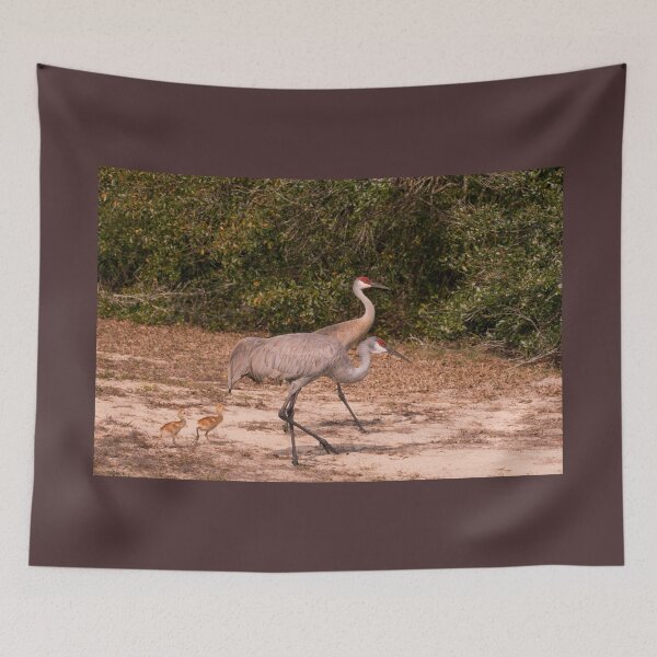 Item preview, Sandhill cranes with chicks designed and sold by Zina Stromberg.