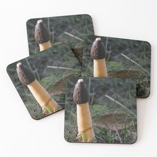 Item preview, Strange Mushroom  designed and sold by barkeypf.