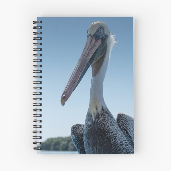Item preview, Pelican Visit designed and sold by barkeypf.