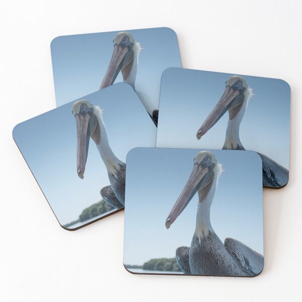 Item preview, Pelican Visit designed and sold by barkeypf.