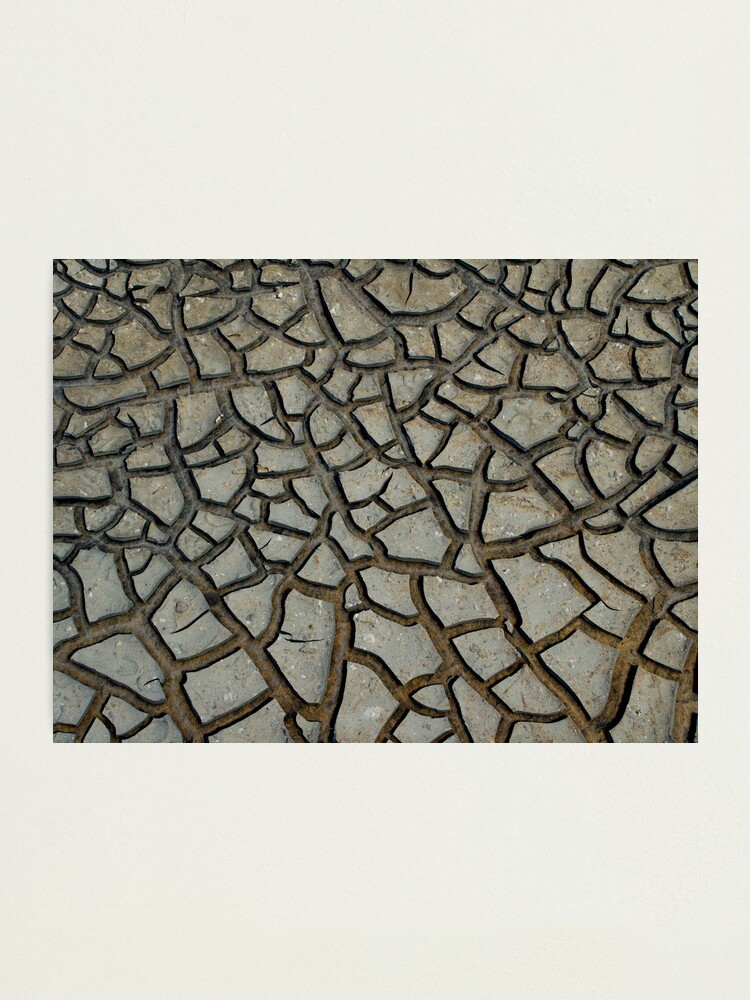 Alternate view of Cracking Up Photographic Print