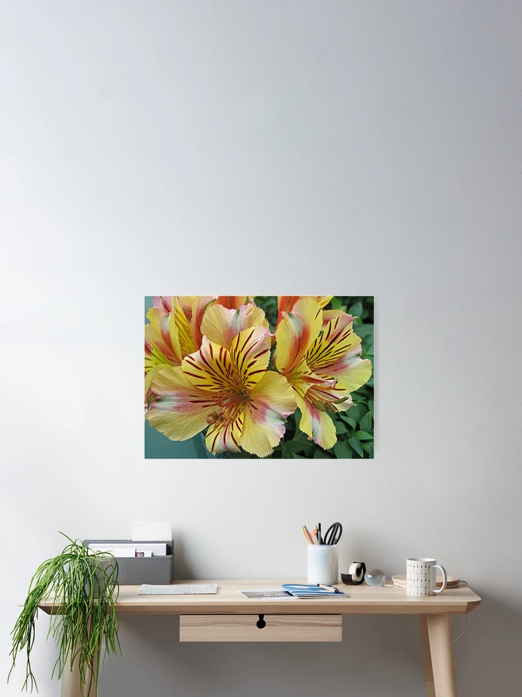 Thumbnail 2 of 3, Poster, Spring is Springing designed and sold by Monnie Ryan.