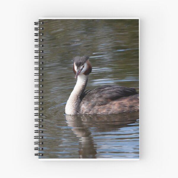 Item preview, Great Crested Grebe. designed and sold by Lesogorman.