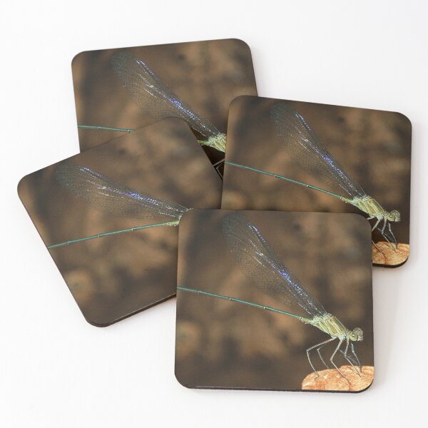 Item preview, *ZYGOPTERA* - Family Calopterygidae Demoiselles (Damselflies) designed and sold by Magriet Meintjes.