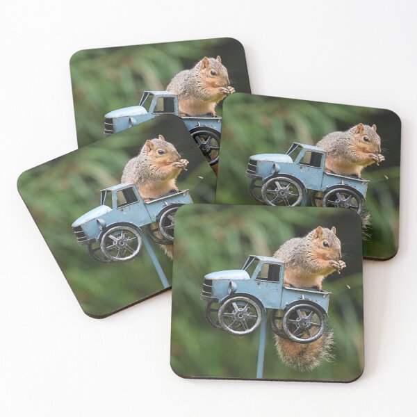 Item preview, Squirrel On feeder designed and sold by NicoleFrederick.