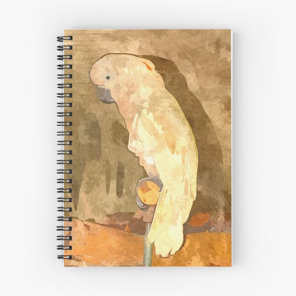 Item preview, A White Cockatoo on a perch designed and sold by Paul Comtois.