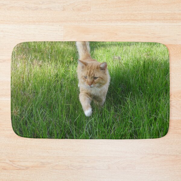 Item preview, Jack the Cat On The Prowl by Orikall designed and sold by HippieWorks.