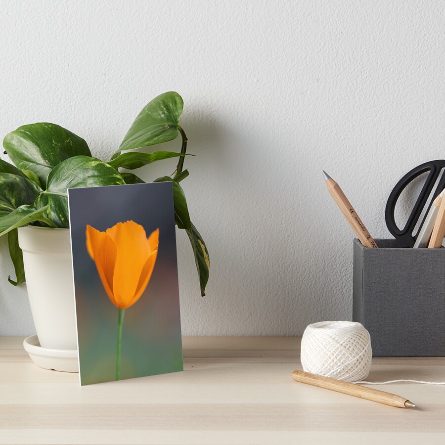 Tufted Poppy Art Board Print