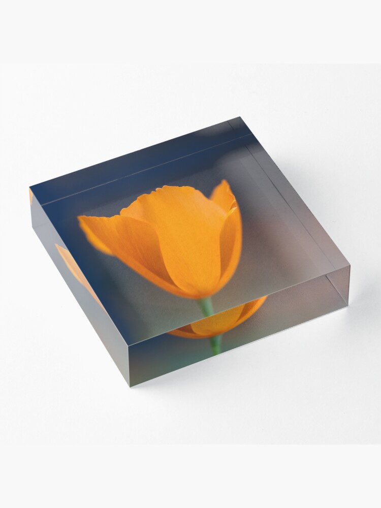 Alternate view of Tufted Poppy Acrylic Block