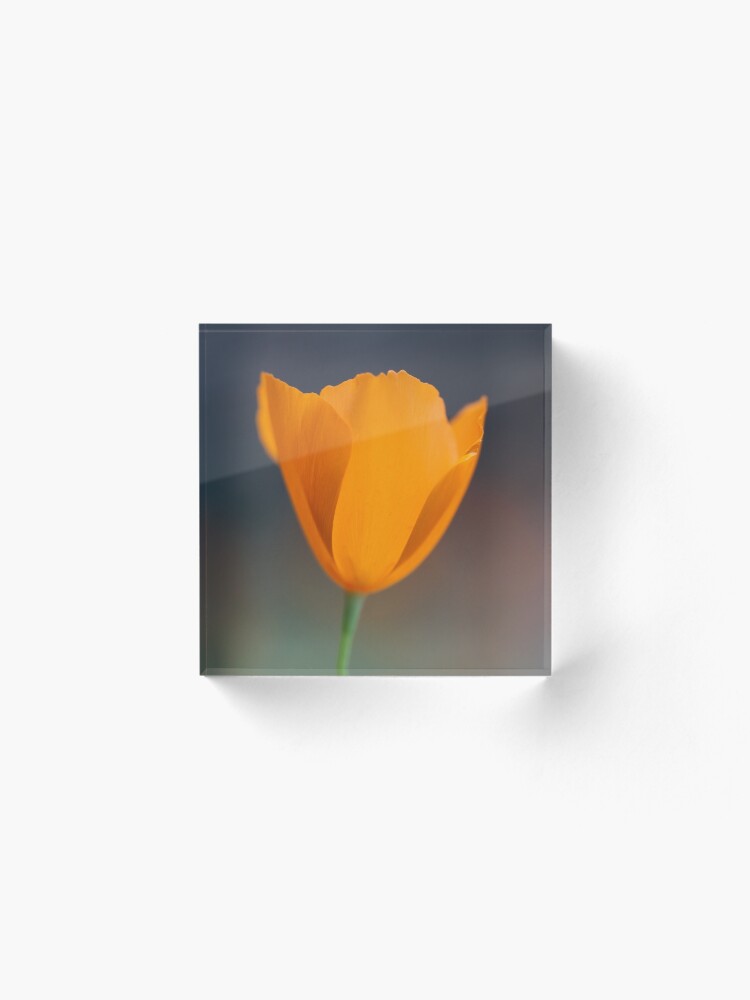 Alternate view of Tufted Poppy Acrylic Block