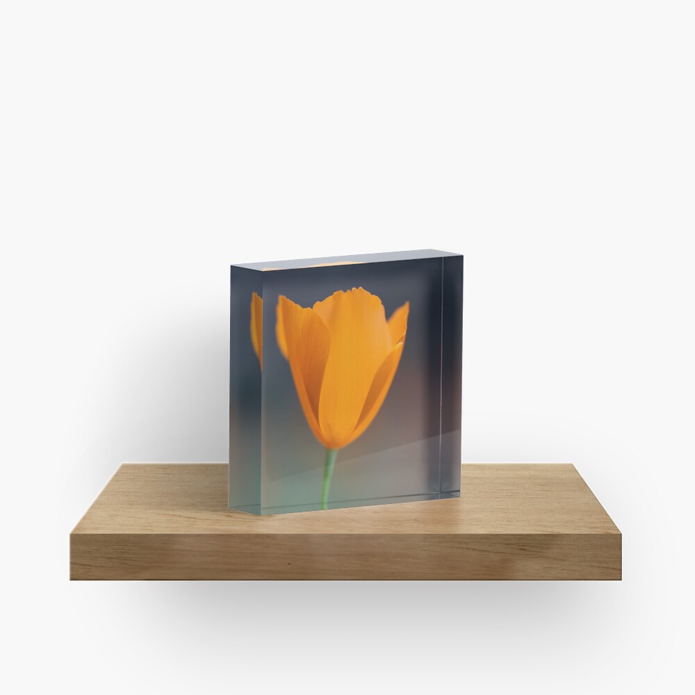 Tufted Poppy Acrylic Block