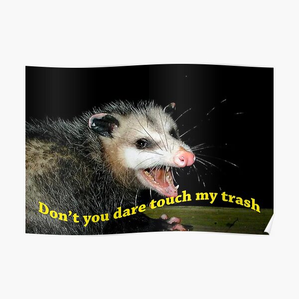 "Don't touch my trash opossum meme" Poster for Sale by chasethegirl