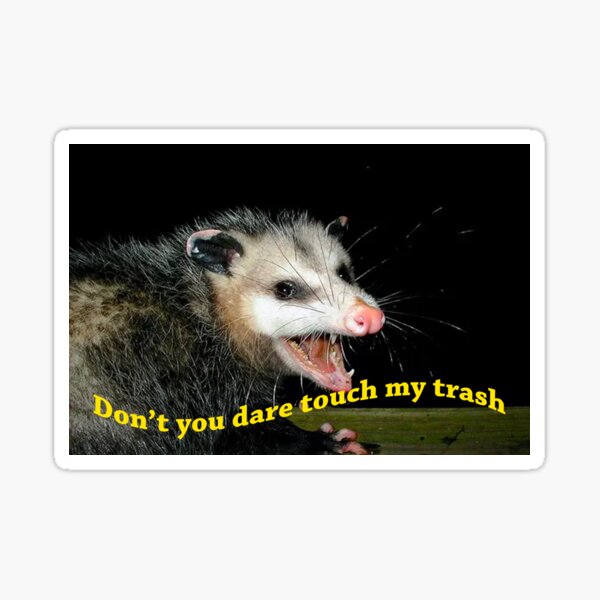 Item preview, Don't touch my trash opossum meme designed and sold by chase-the-girl.