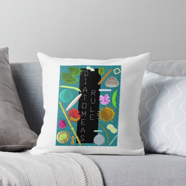 Item preview, Regla de diatomeas designed and sold by Cariboo Design.