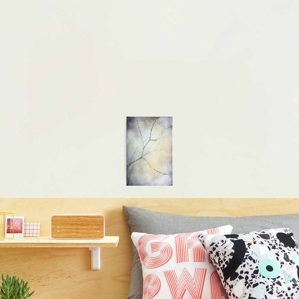 Item preview, Photographic Print designed and sold by Softly.