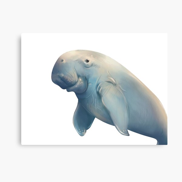 Item preview, Dugong designed and sold by aakffarel.