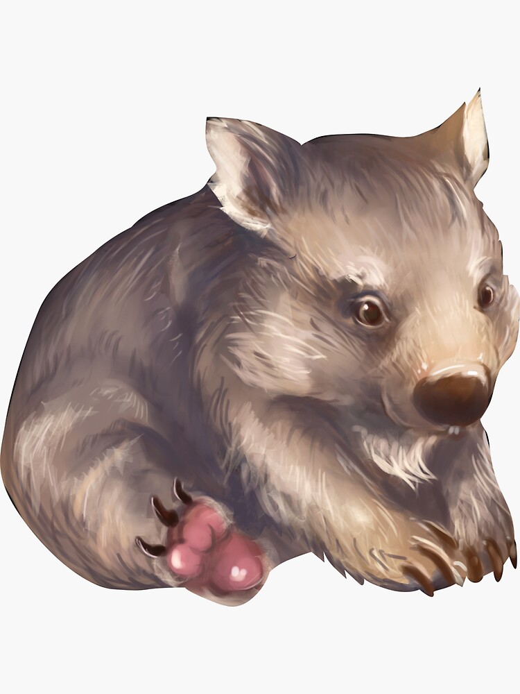Wombat by aakffarel