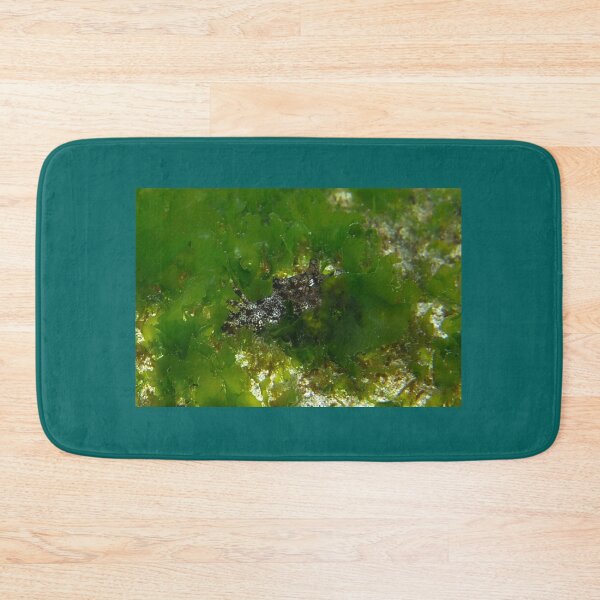 Item preview, Aplysia Kurodai in Korea (2) designed and sold by Mike Ashley.