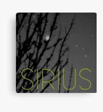 Sirius Canvas Print