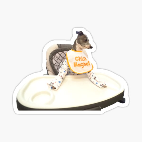 "Treating My Dogs Like Babies For A Day Kermit the Chick