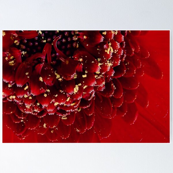Item preview, RED designed and sold by hary60.