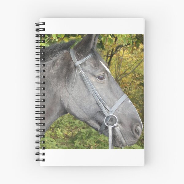 Item preview, Bertie designed and sold by AvonRiding.
