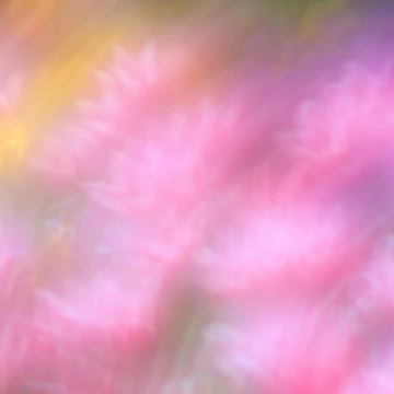 Artwork thumbnail, Spring by Jessica Dzupina