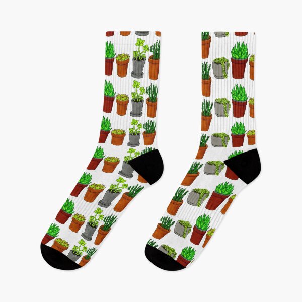 Item preview, Succulents - house plants designed and sold by EBG draws.