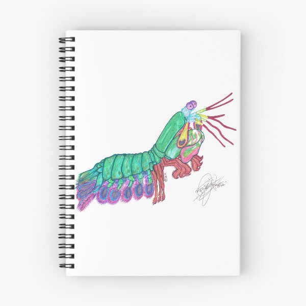 Item preview, Shrimp mantis designed and sold by BeritValk.