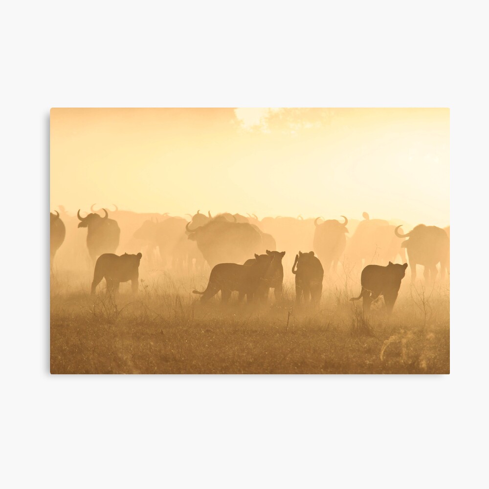 " Relentless Enemies 5 " Canvas Print