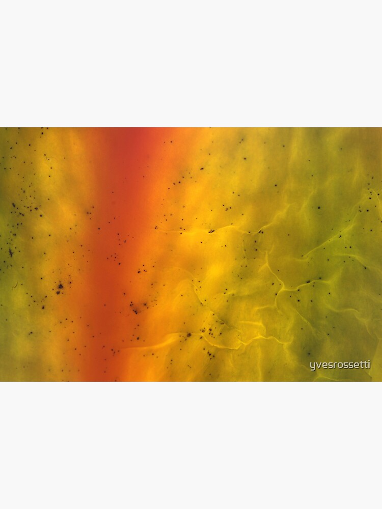 transparent skin by yvesrossetti
