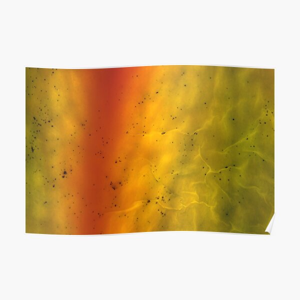 transparent skin Poster