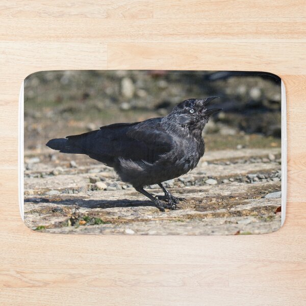 Item preview, ¡Graznar! designed and sold by GreyFeatherPhot.