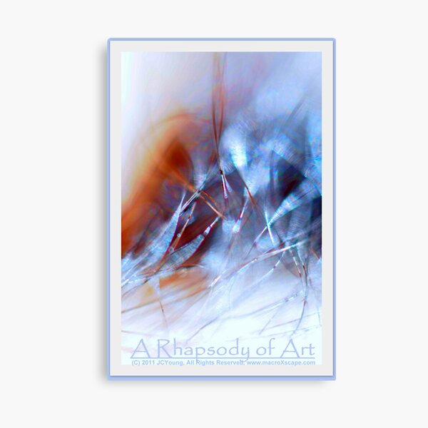 A Rhapsody of Art Canvas Print
